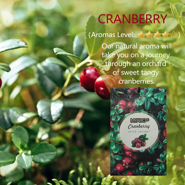 12 Packs Cranberry Scented Sachets Closet Air Fresheners