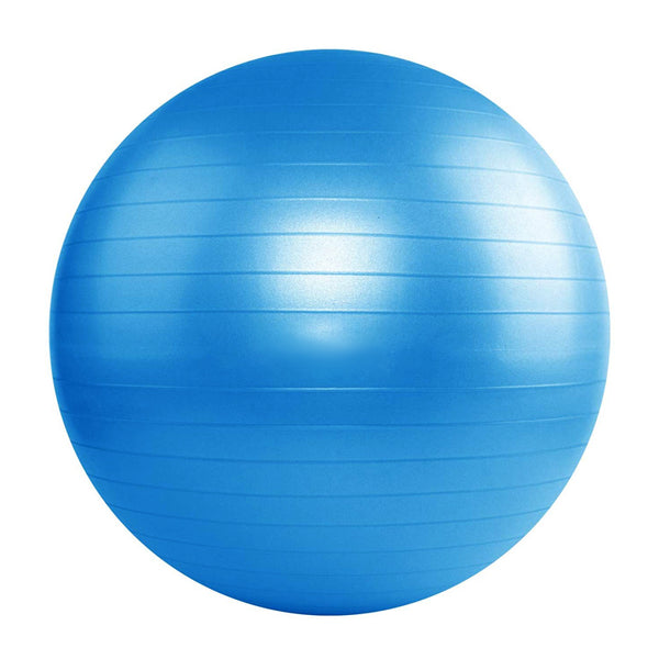 Sunland Exercise Ball 55CM Yoga Ball With Hand Pump Anti Burst Workout Equipment